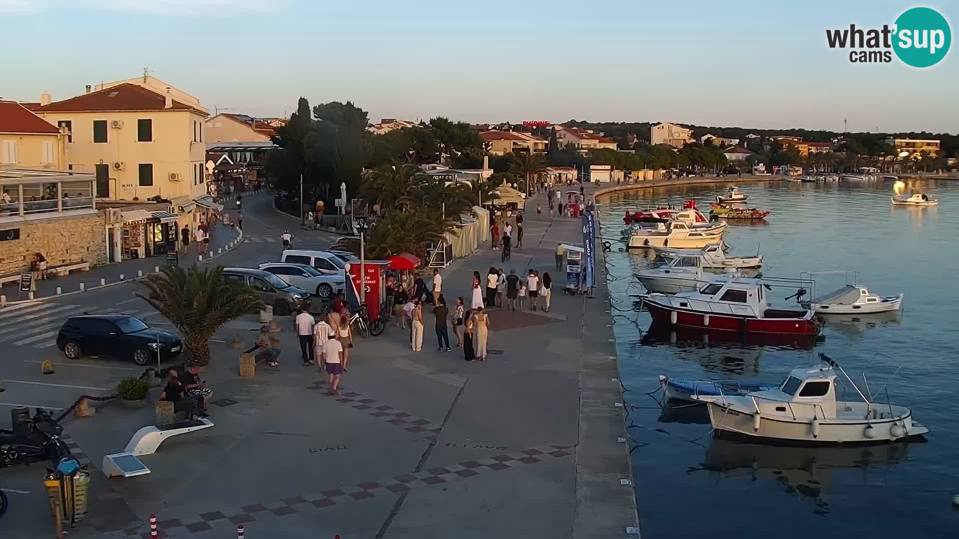 Promenade en Novalia Camera en vivo