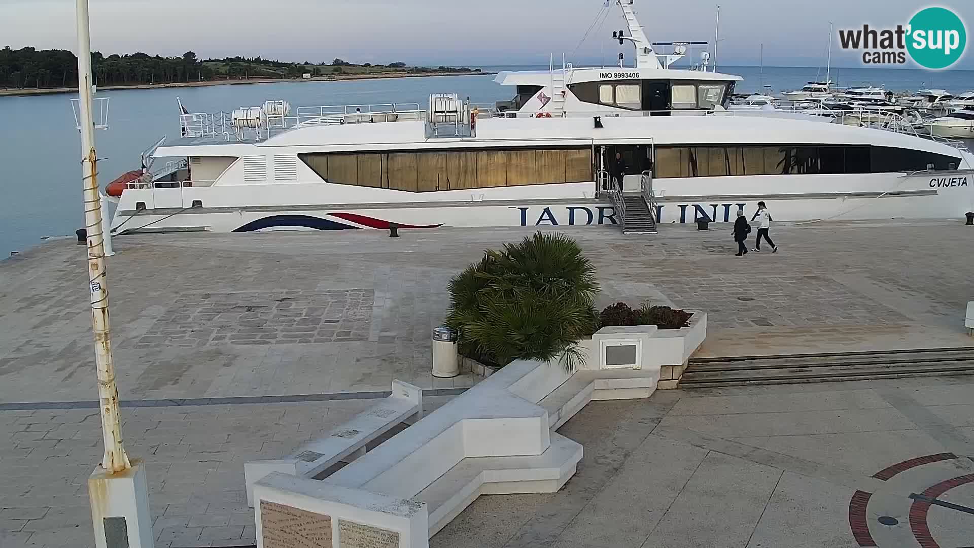 Novalja spletna kamera promenada