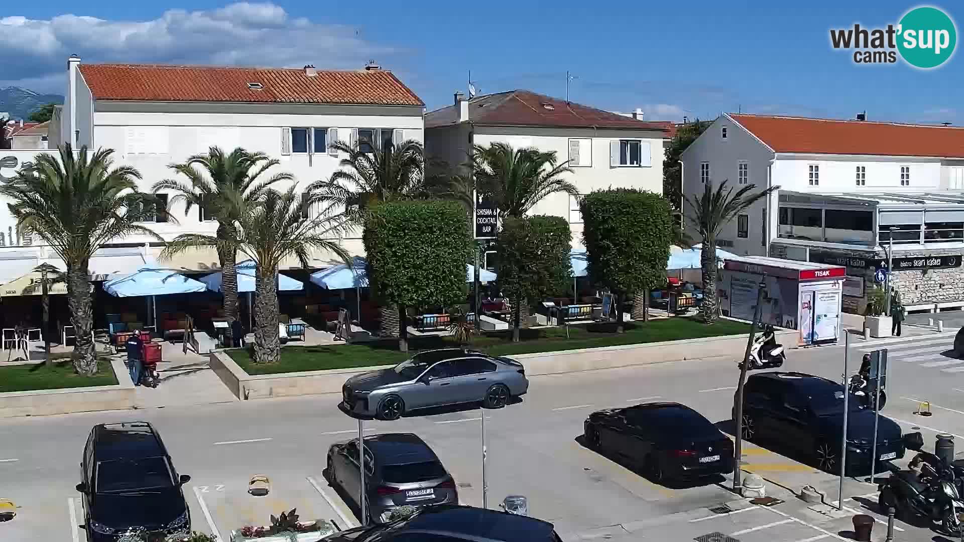 Promenade en Novalia Camera en vivo