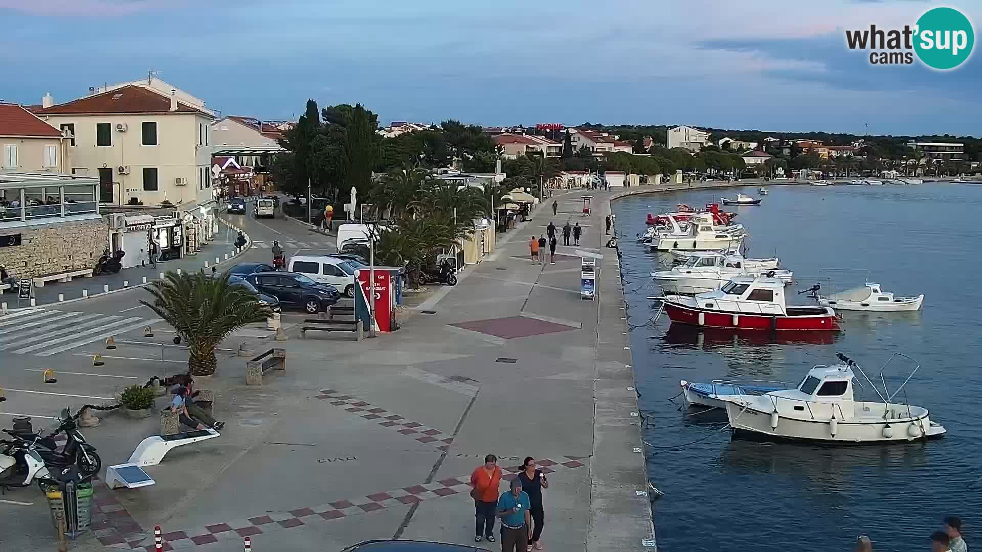 Promenade en Novalia Camera en vivo