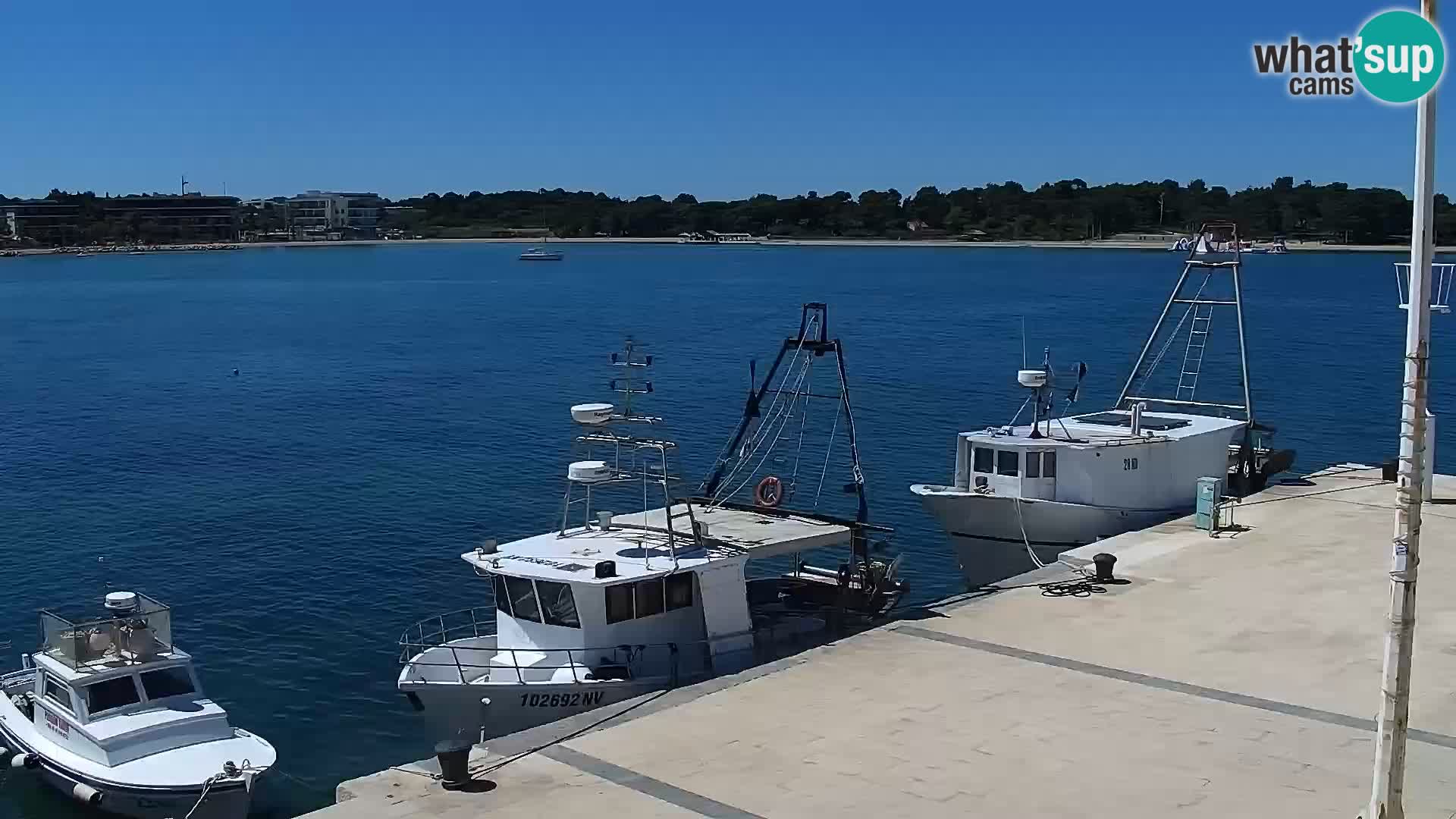 Novalja Livecam promenade