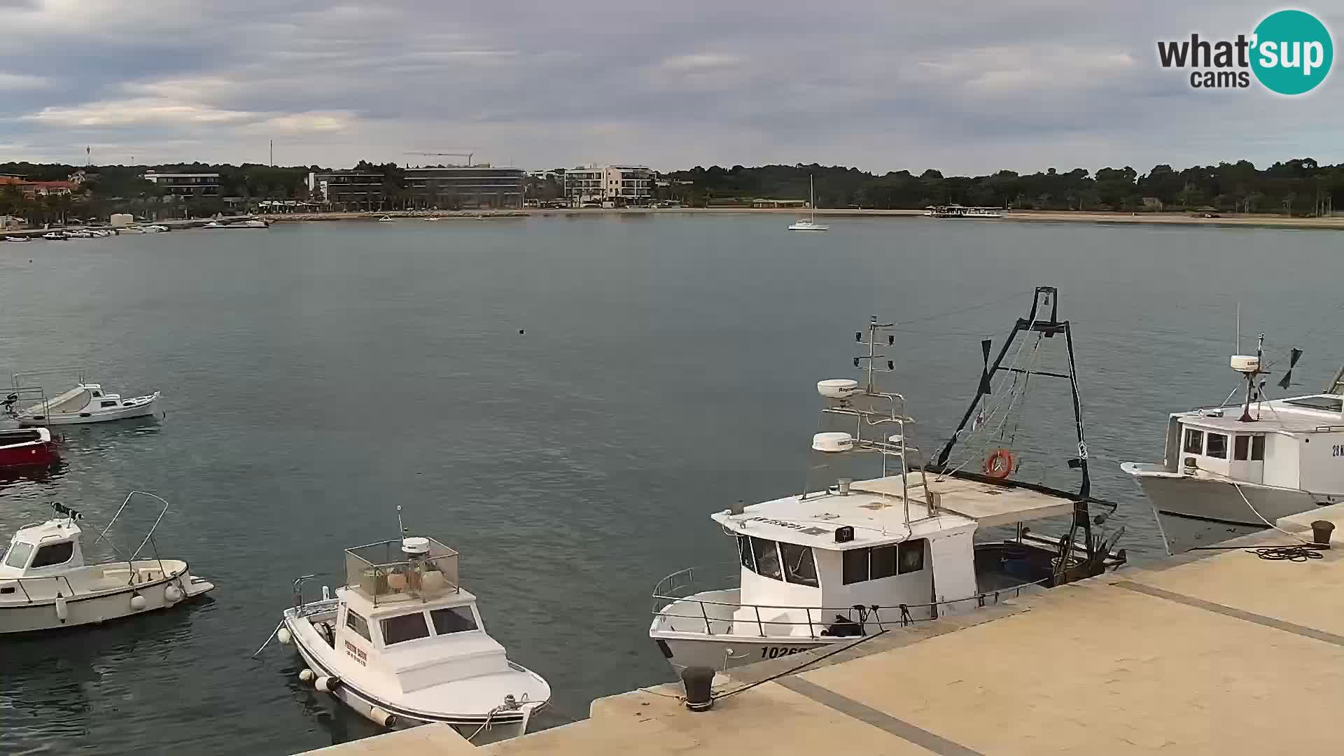 Livecam Promenade a Novalja