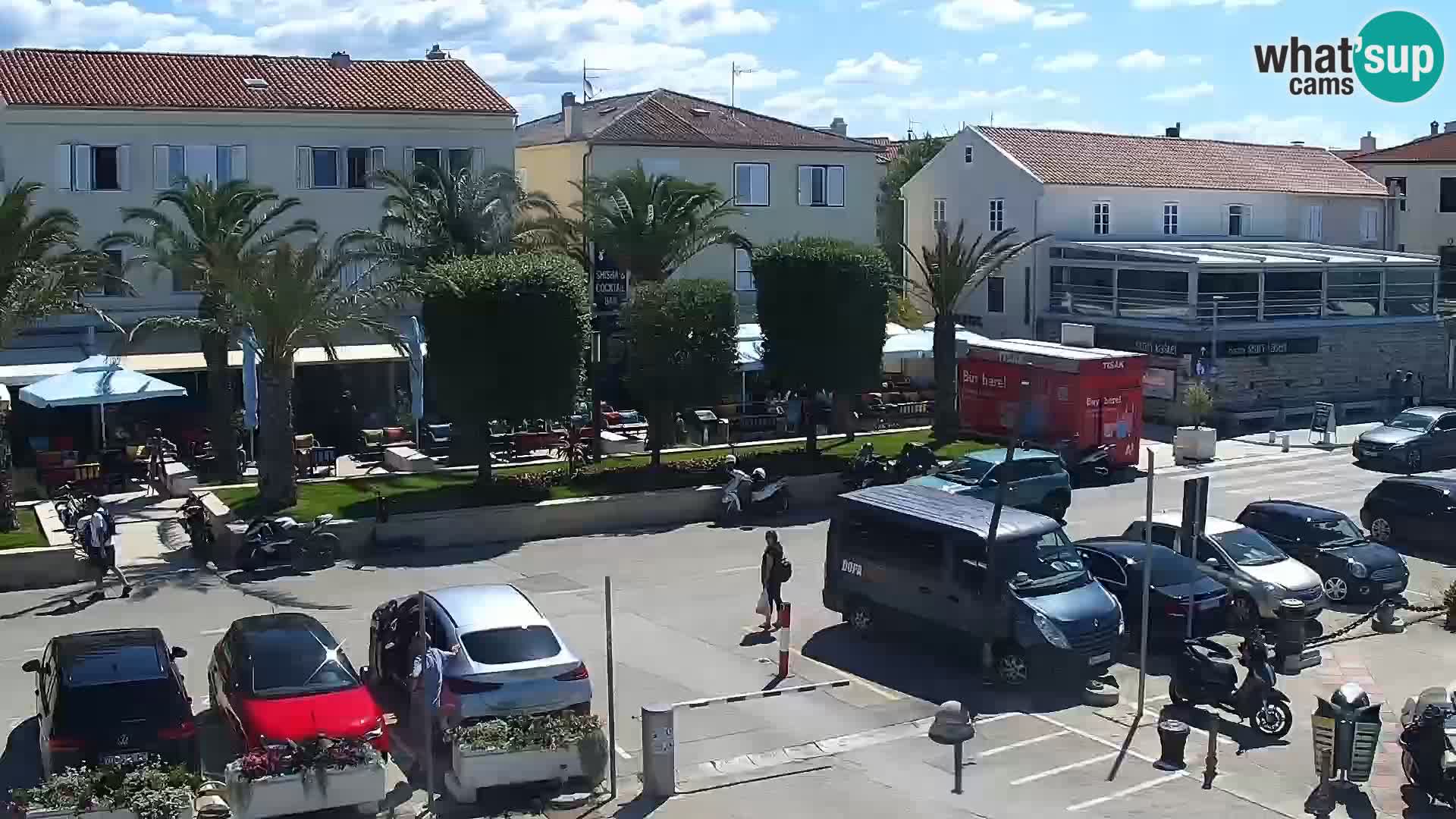 Promenade en Novalia Camera en vivo