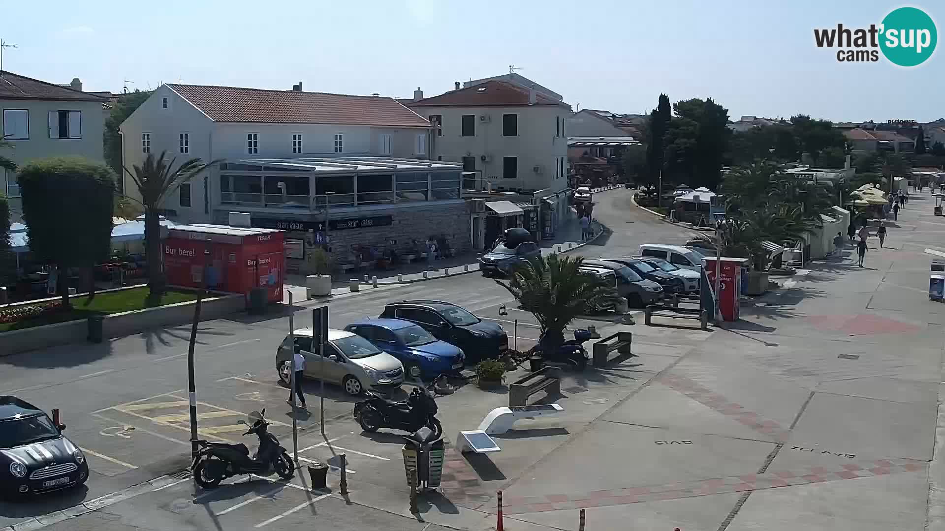 Promenade en Novalia Camera en vivo