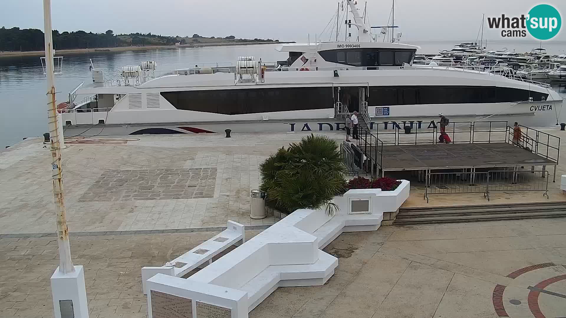 Novalja Livecam promenade