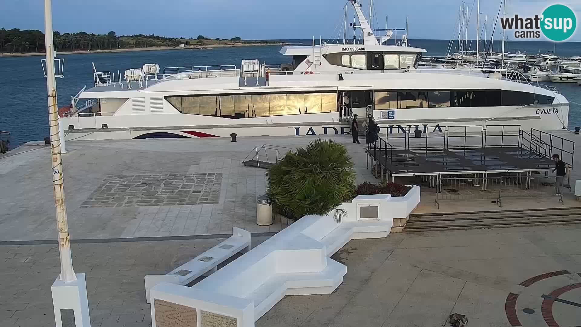 Novalja Livecam promenade