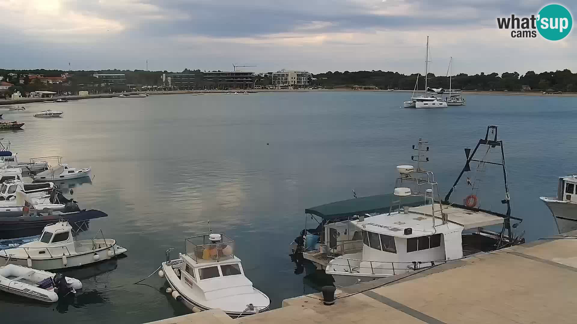 Live webcam Novaglia lungomare