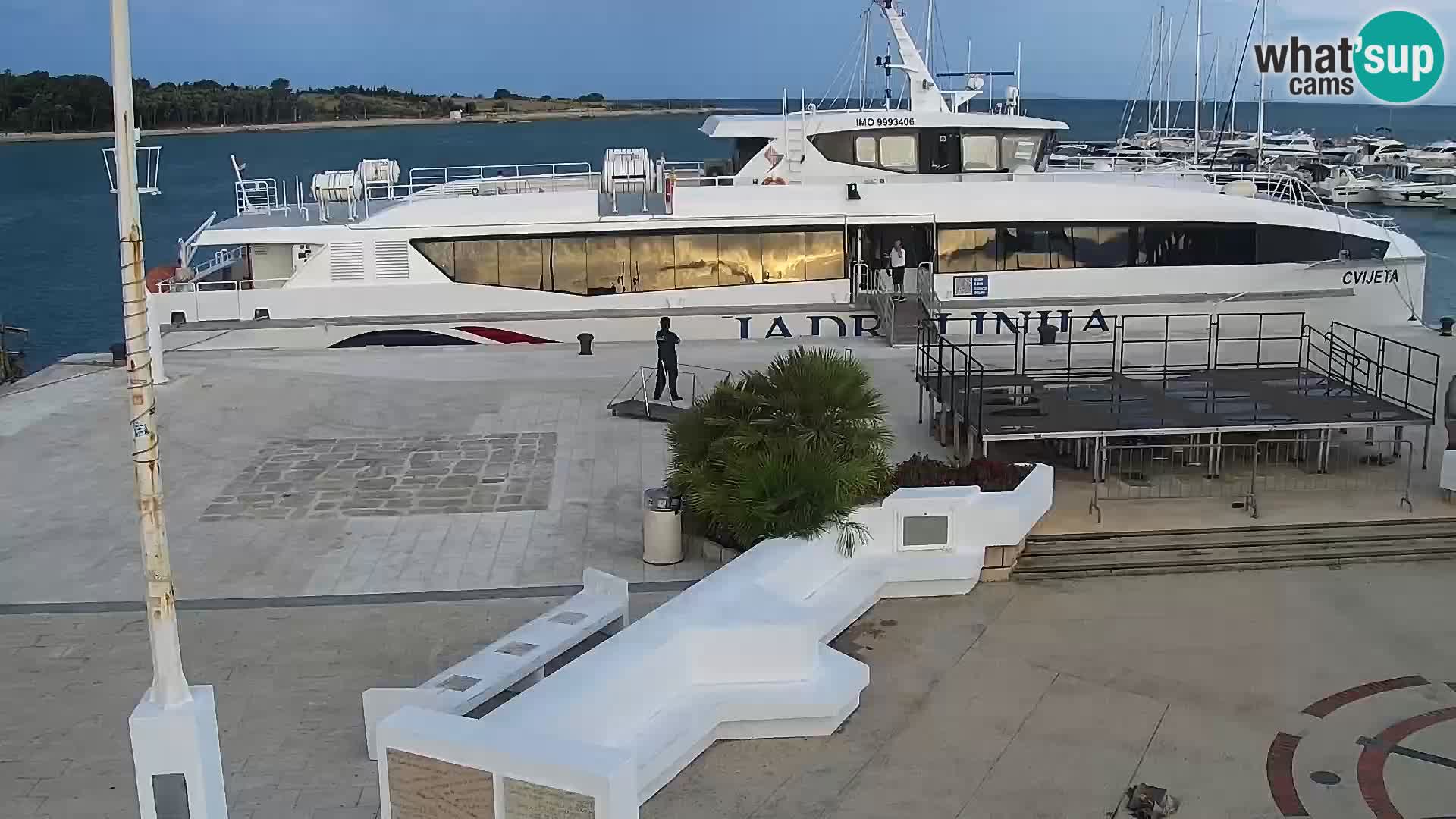 Novalja Livecam promenade