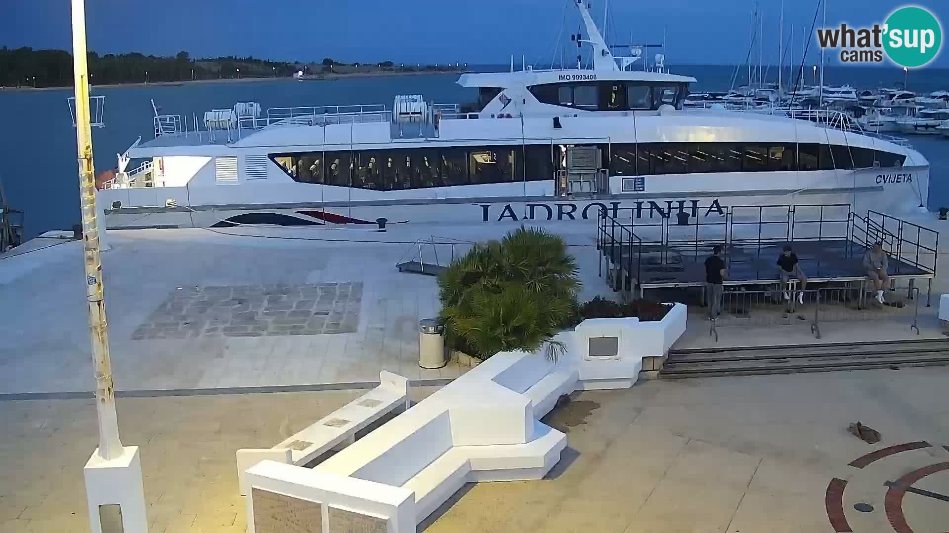 Livecam Promenade a Novalja