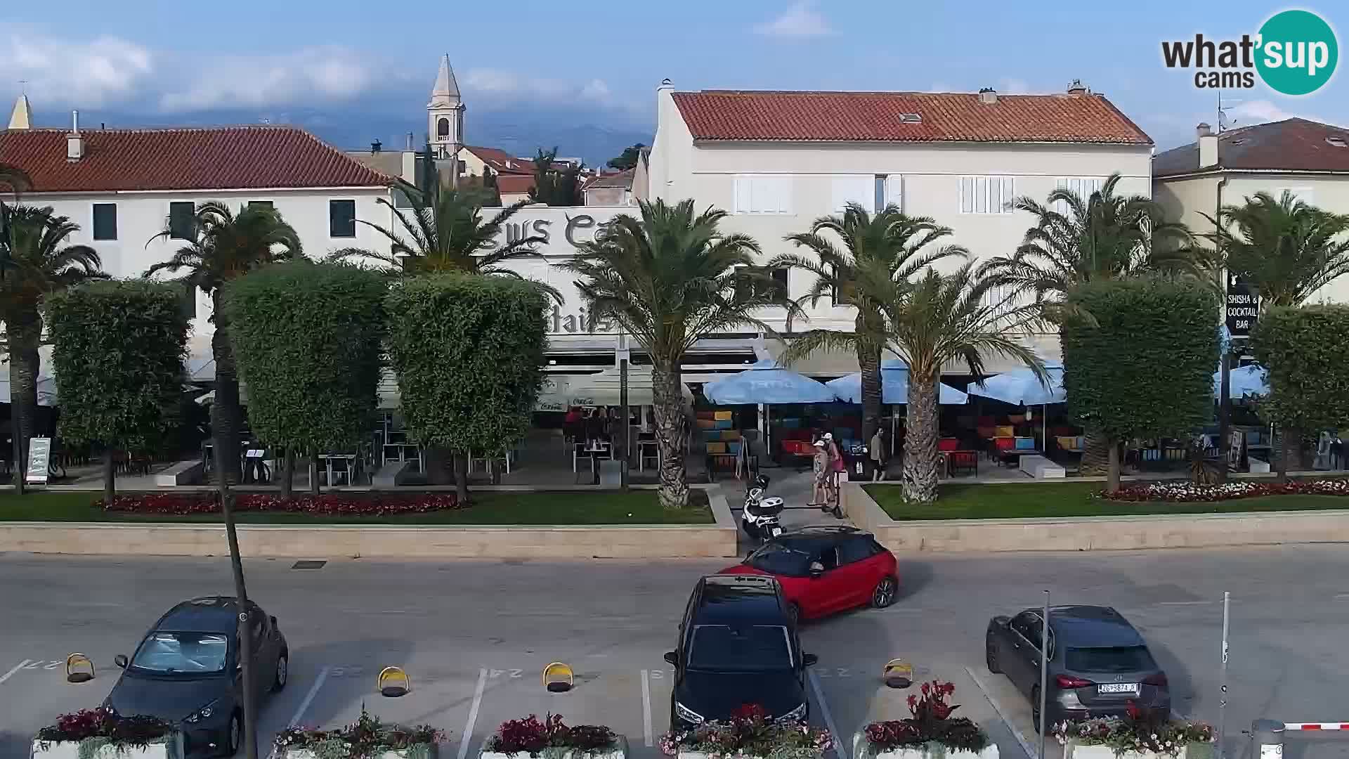 Promenade en Novalia Camera en vivo