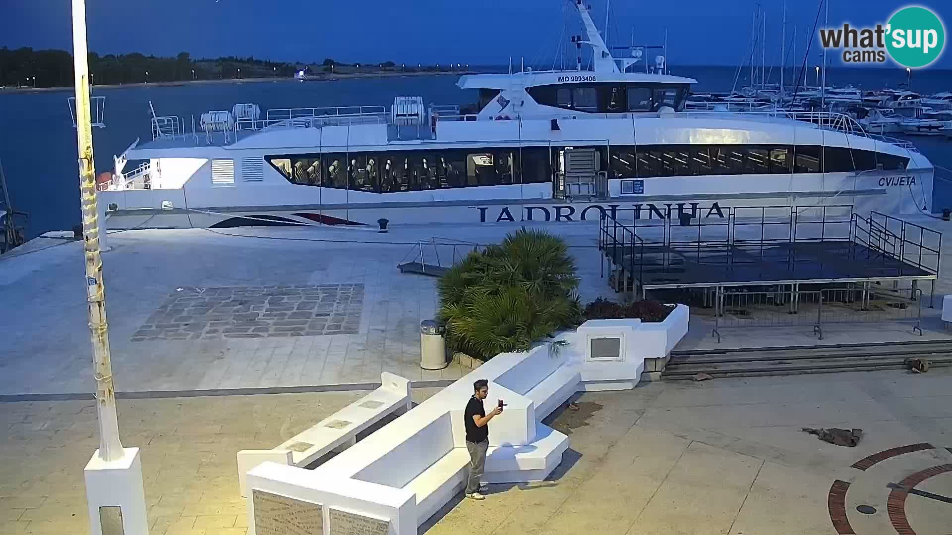 Livecam Promenade a Novalja