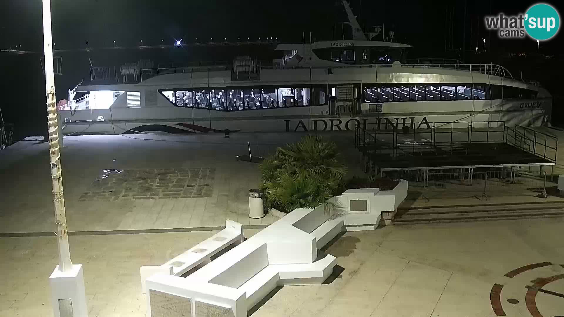 Promenade en Novalia Camera en vivo