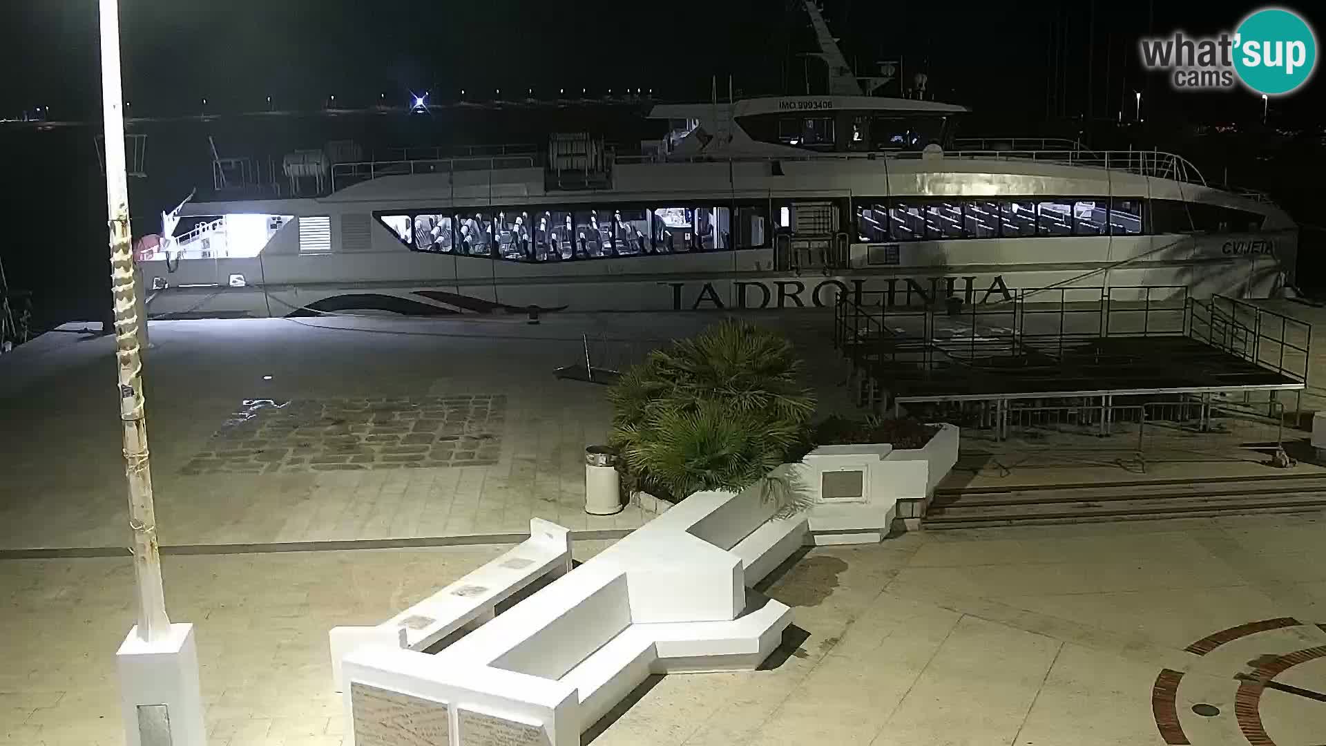 Promenade en Novalia Camera en vivo