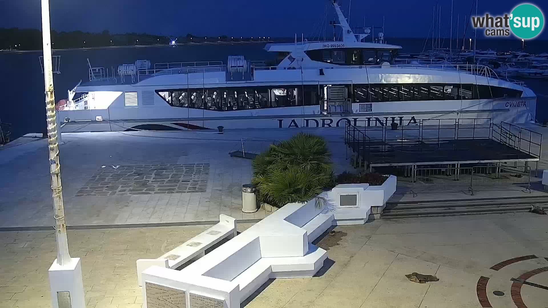 Novalja Livecam promenade