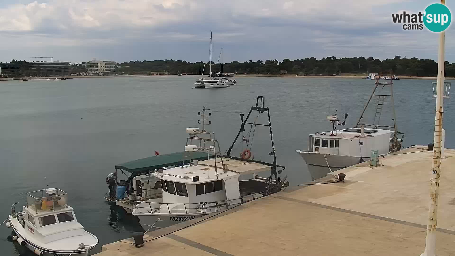 Webcam Novalja seaside promenade