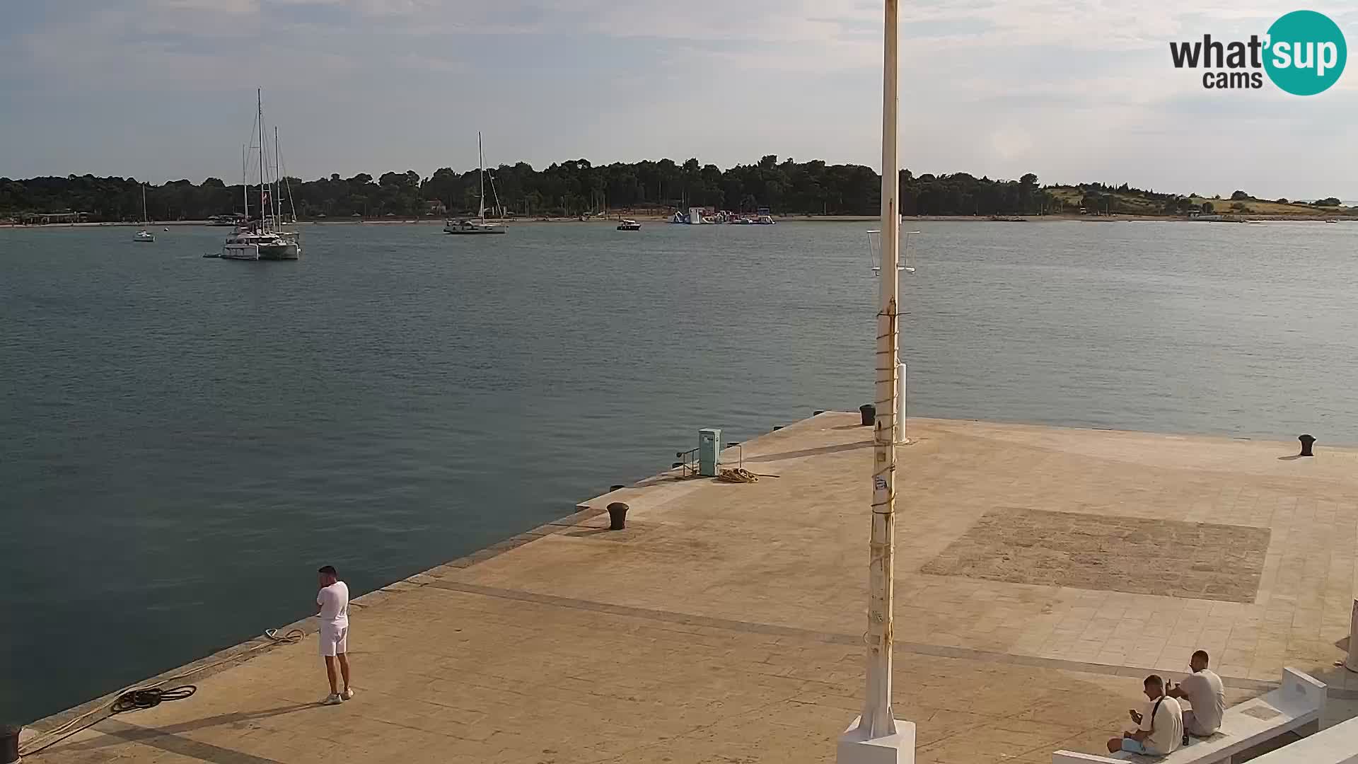 Promenade en Novalia Camera en vivo