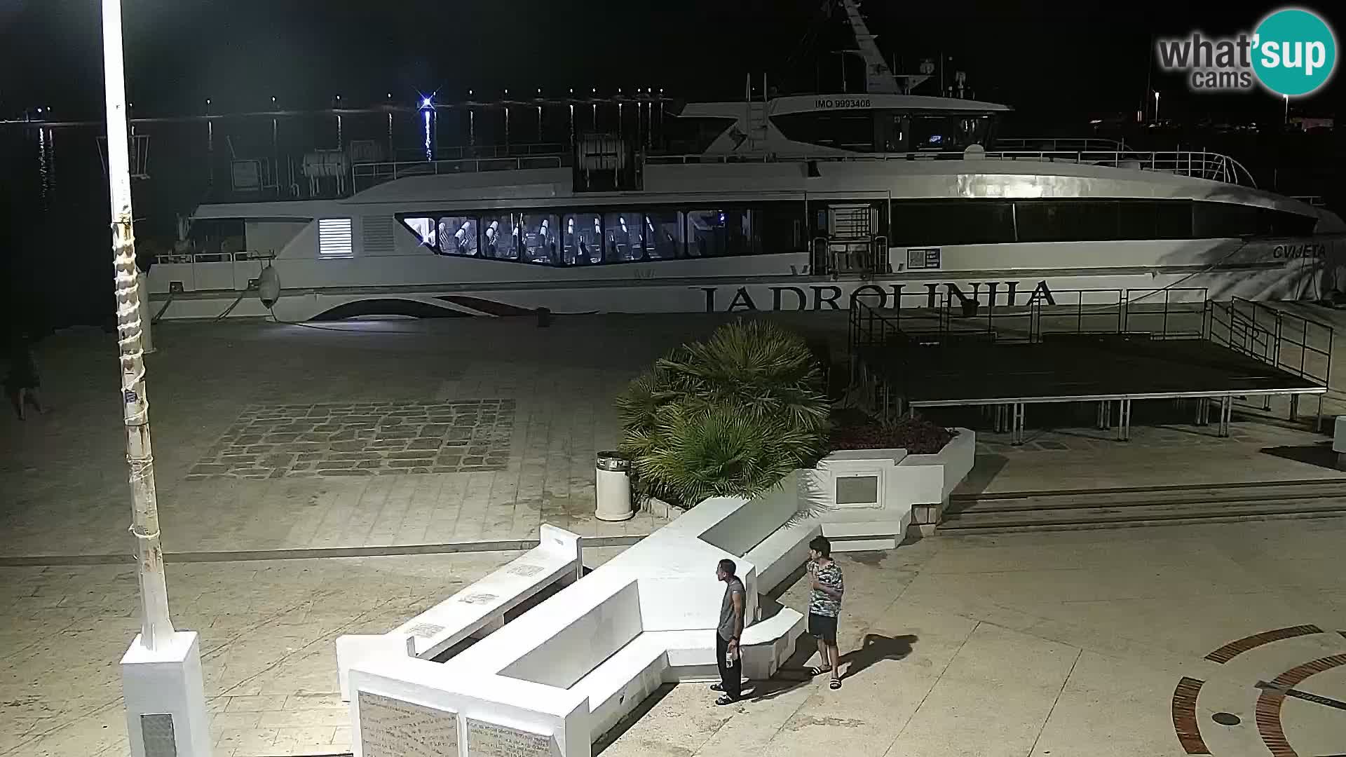 Promenade en Novalia Camera en vivo