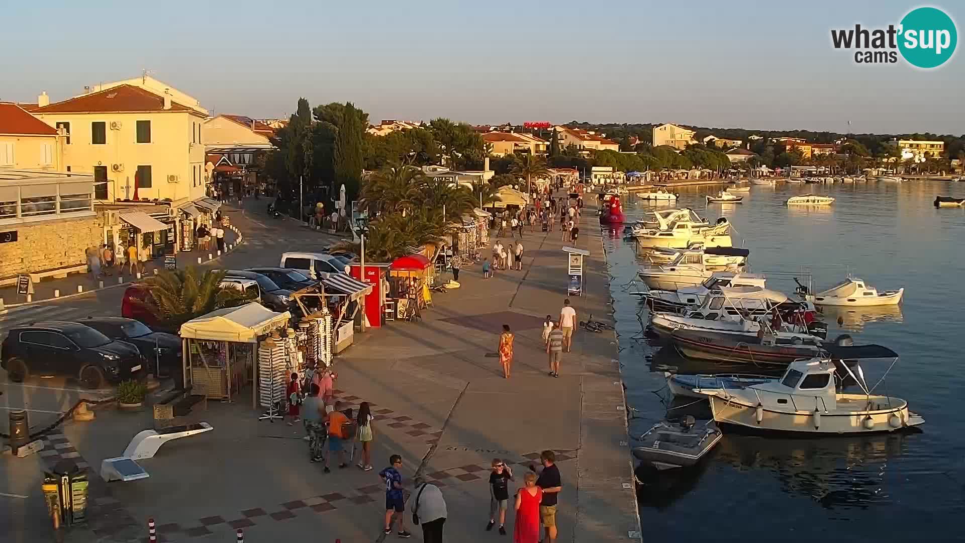 Promenade en Novalia Camera en vivo