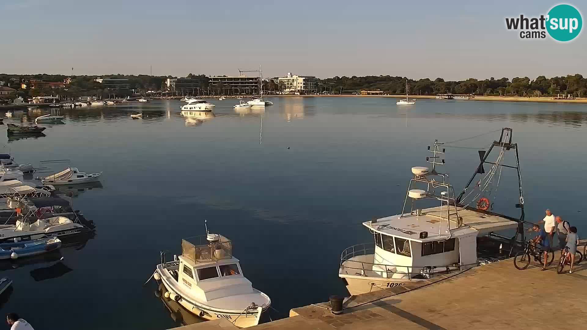 Livecam Promenade a Novalja