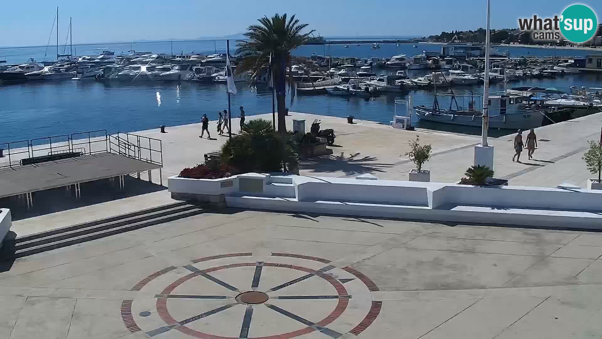 Promenade en Novalia Camera en vivo