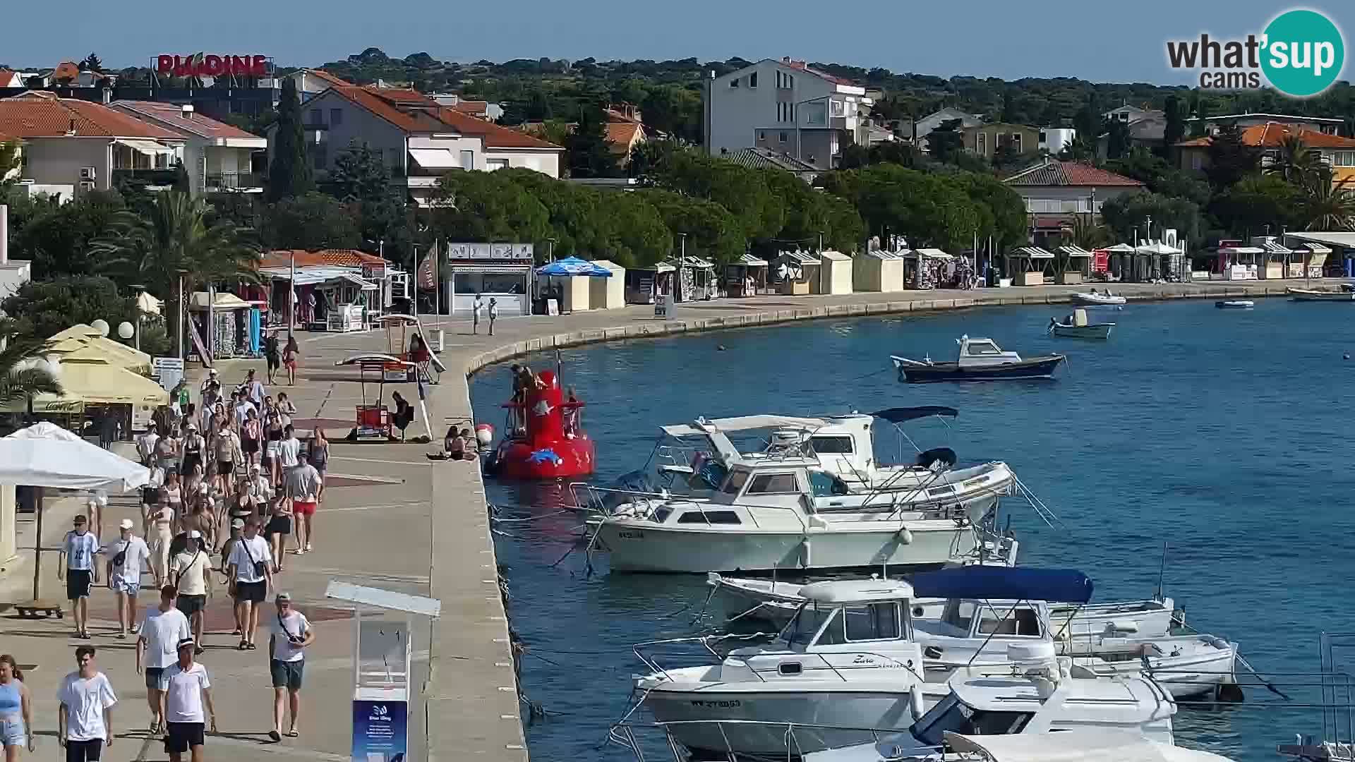 Promenade en Novalia Camera en vivo