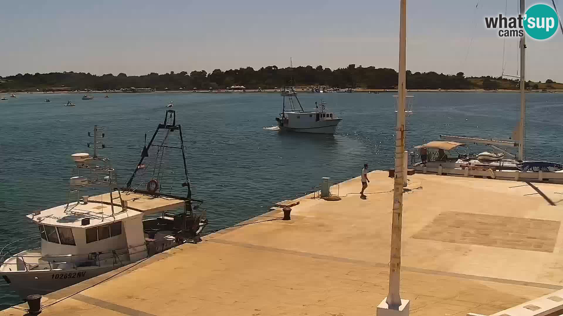 Livecam Promenade a Novalja