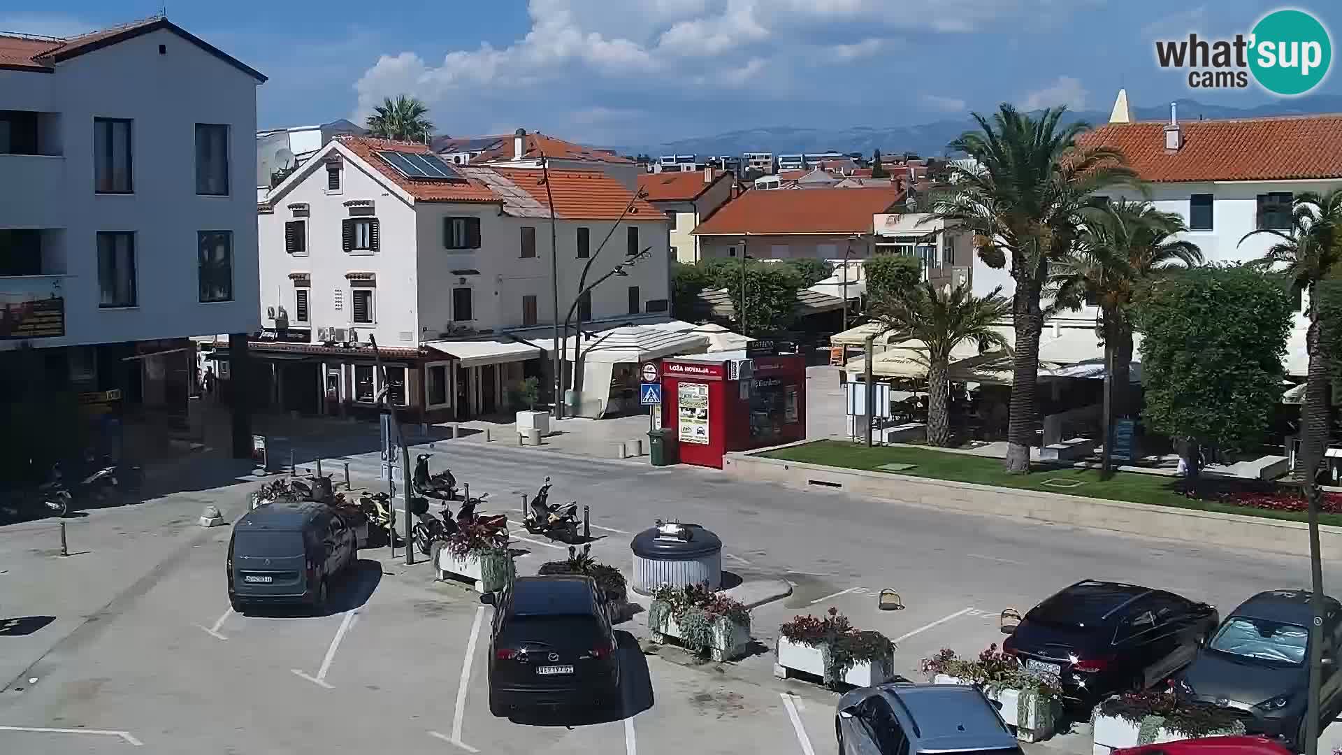 Promenade en Novalia Camera en vivo