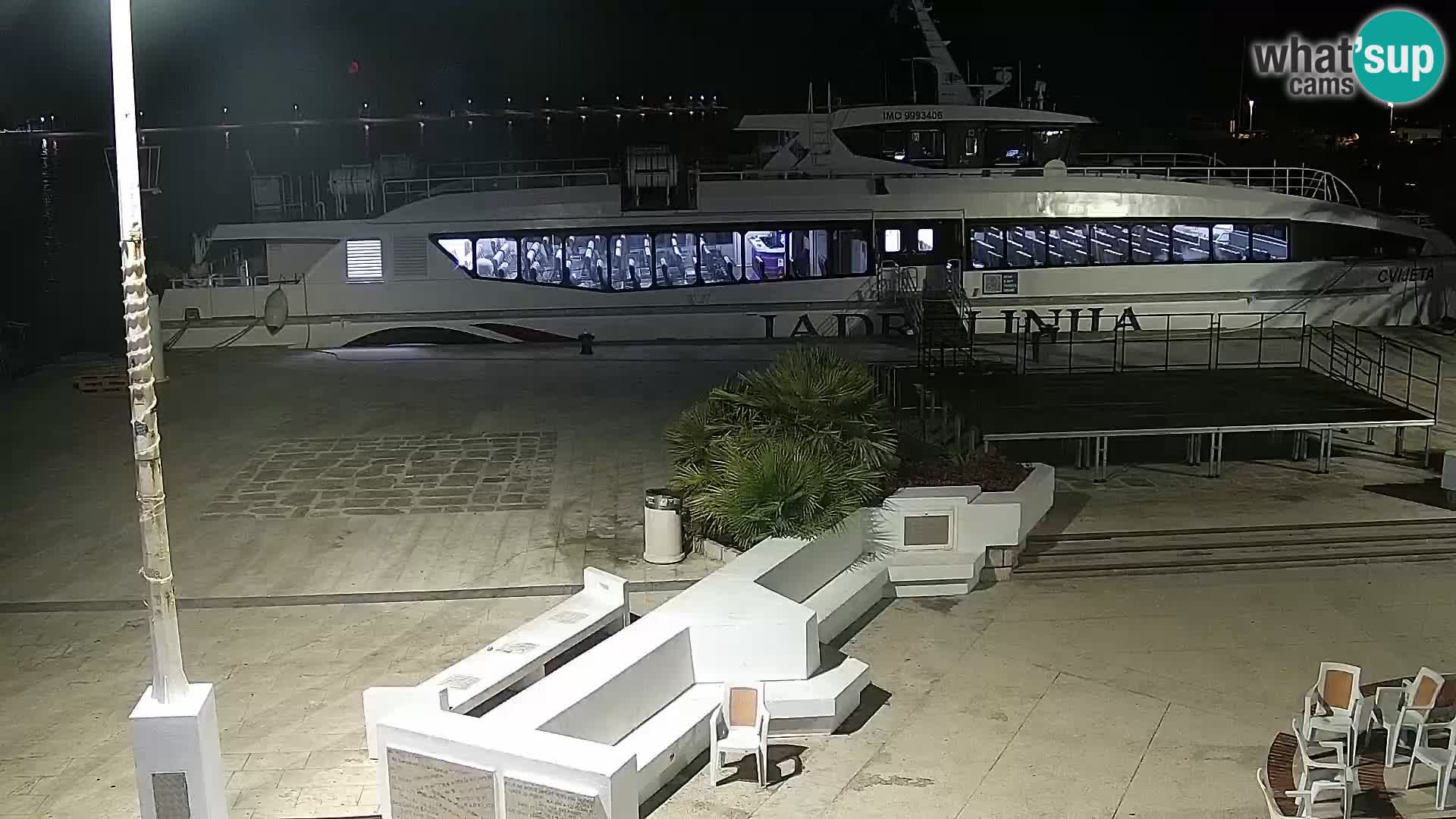 Promenade en Novalia Camera en vivo