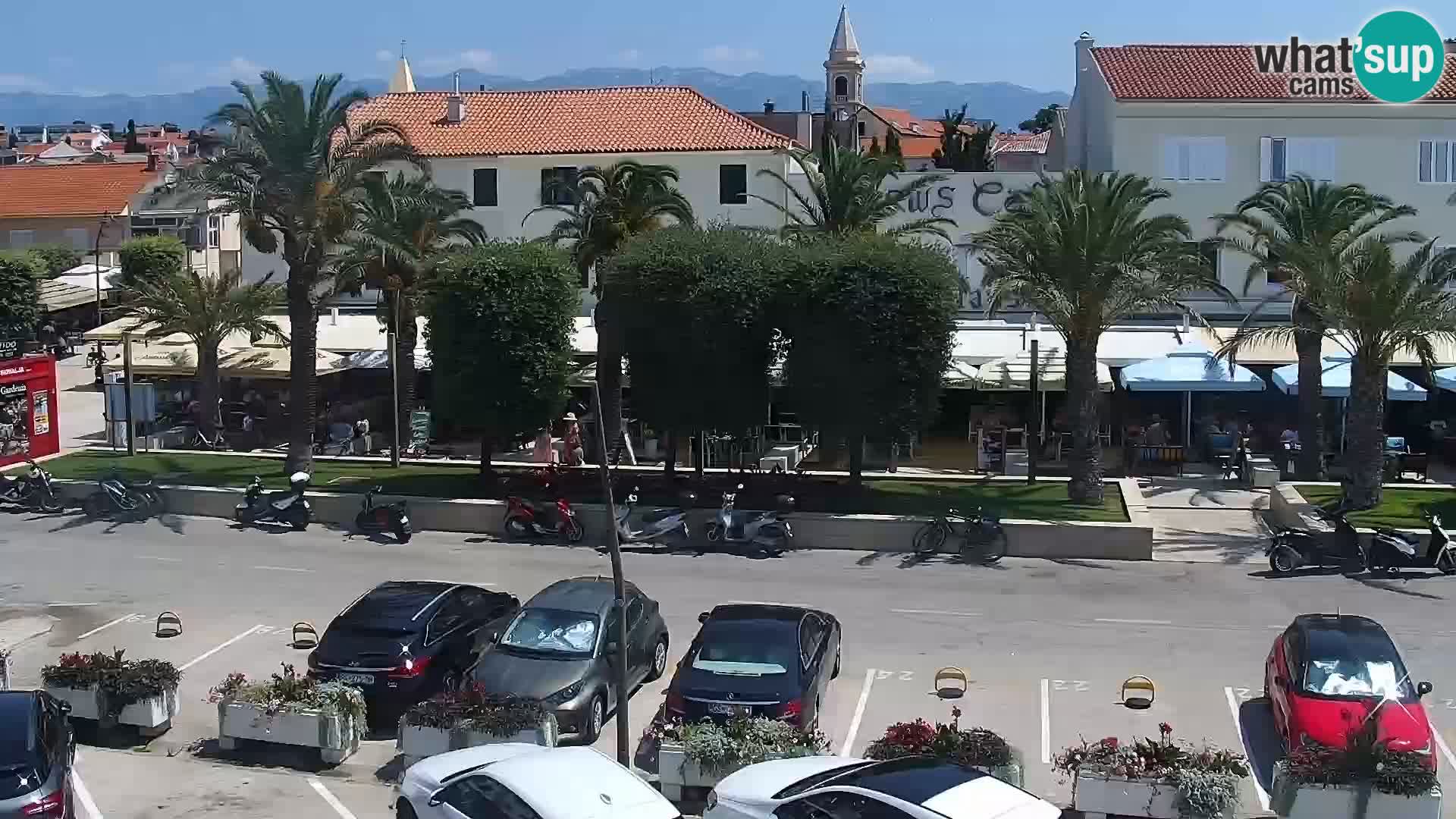 Promenade en Novalia Camera en vivo