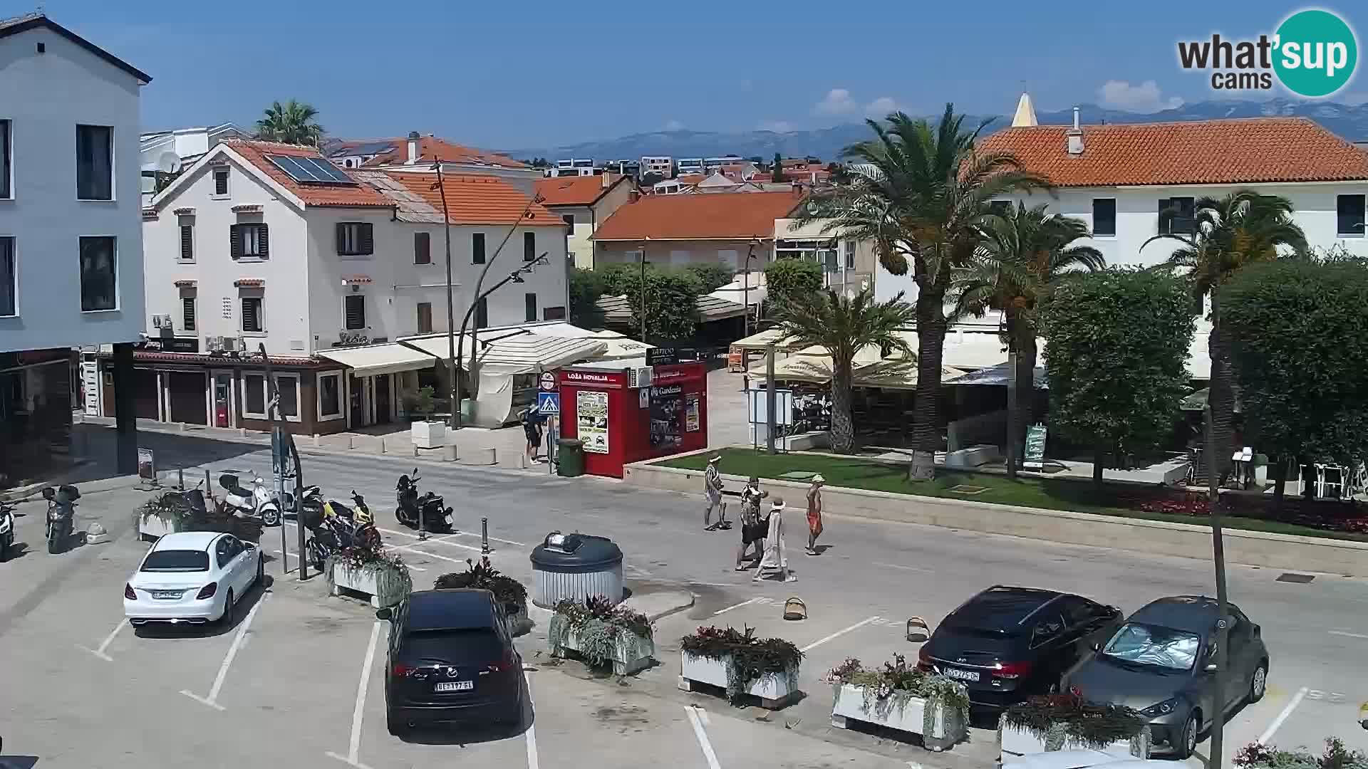 Promenade en Novalia Camera en vivo