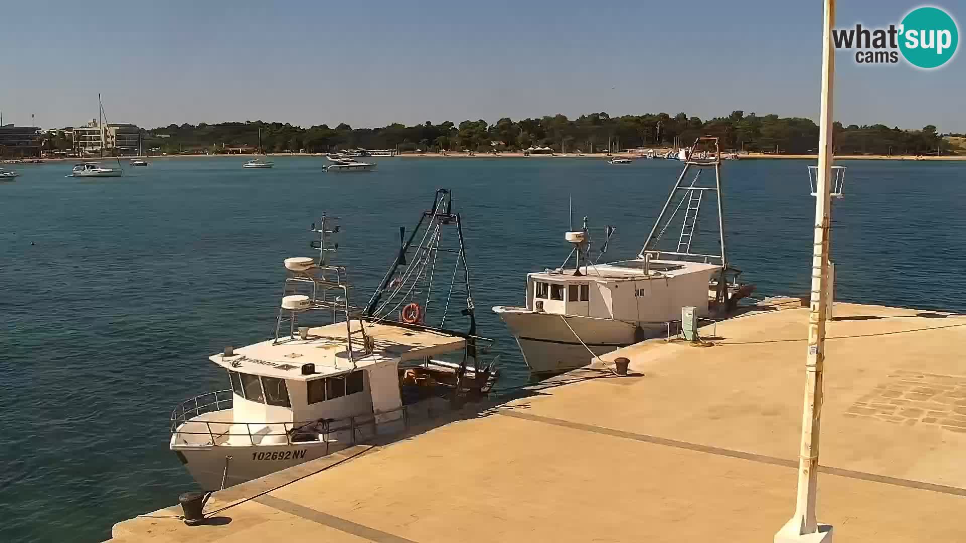 Webcam Novalja seaside promenade