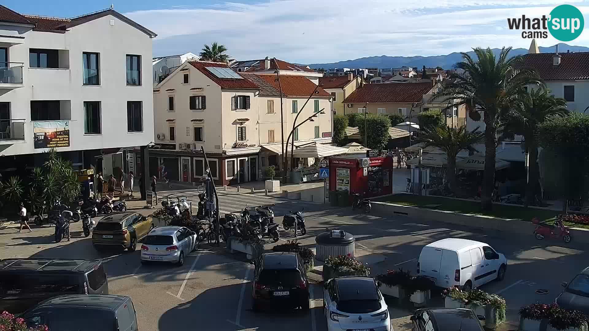 Promenade en Novalia Camera en vivo