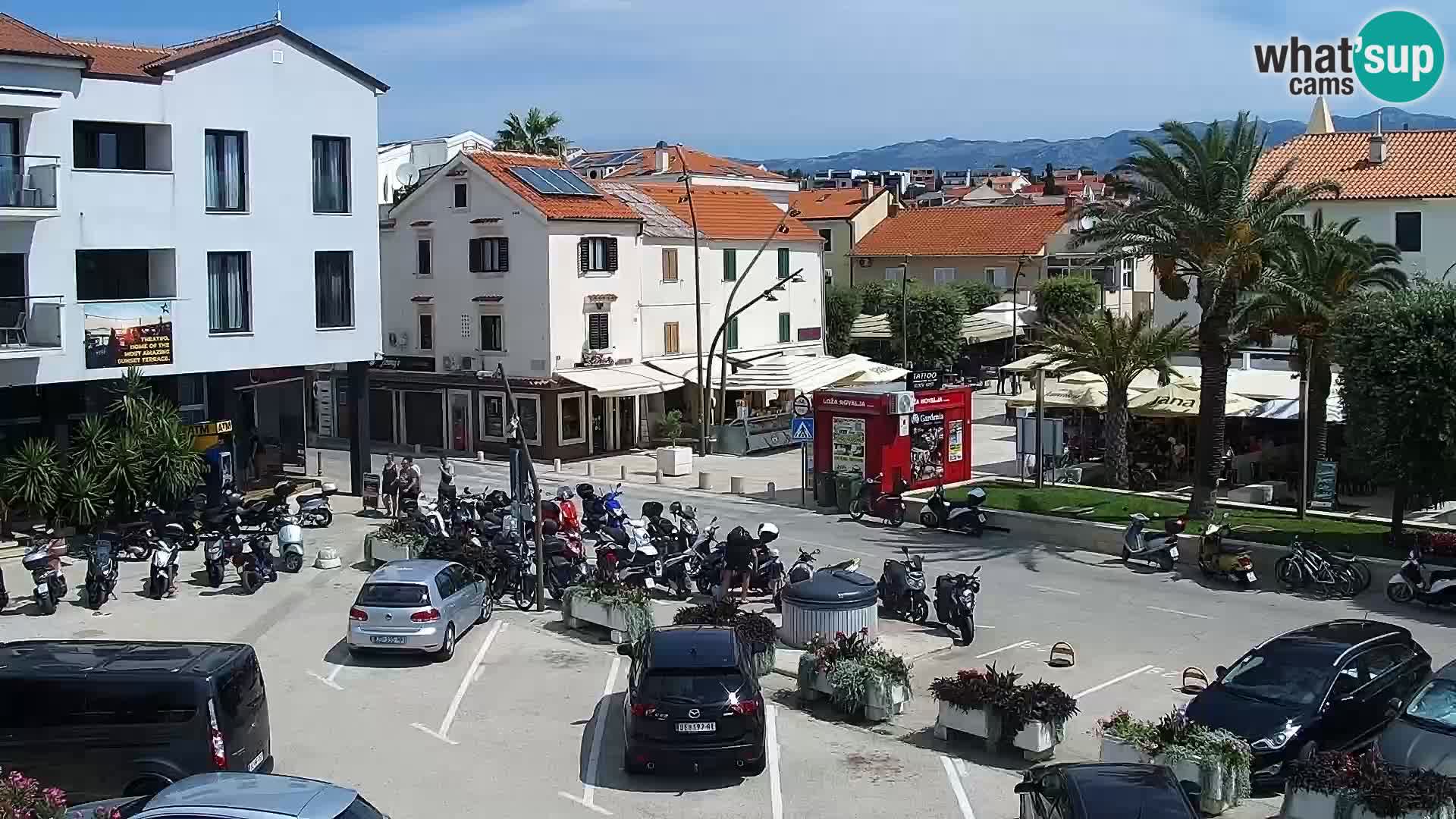 Promenade en Novalia Camera en vivo