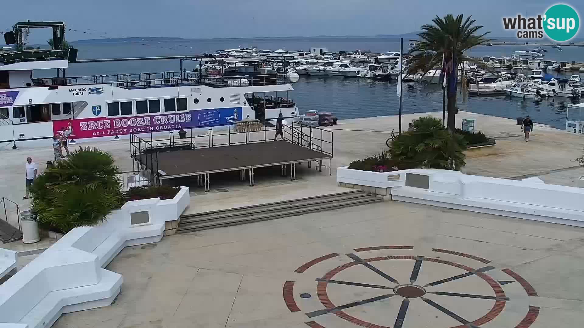 Promenade en Novalia Camera en vivo