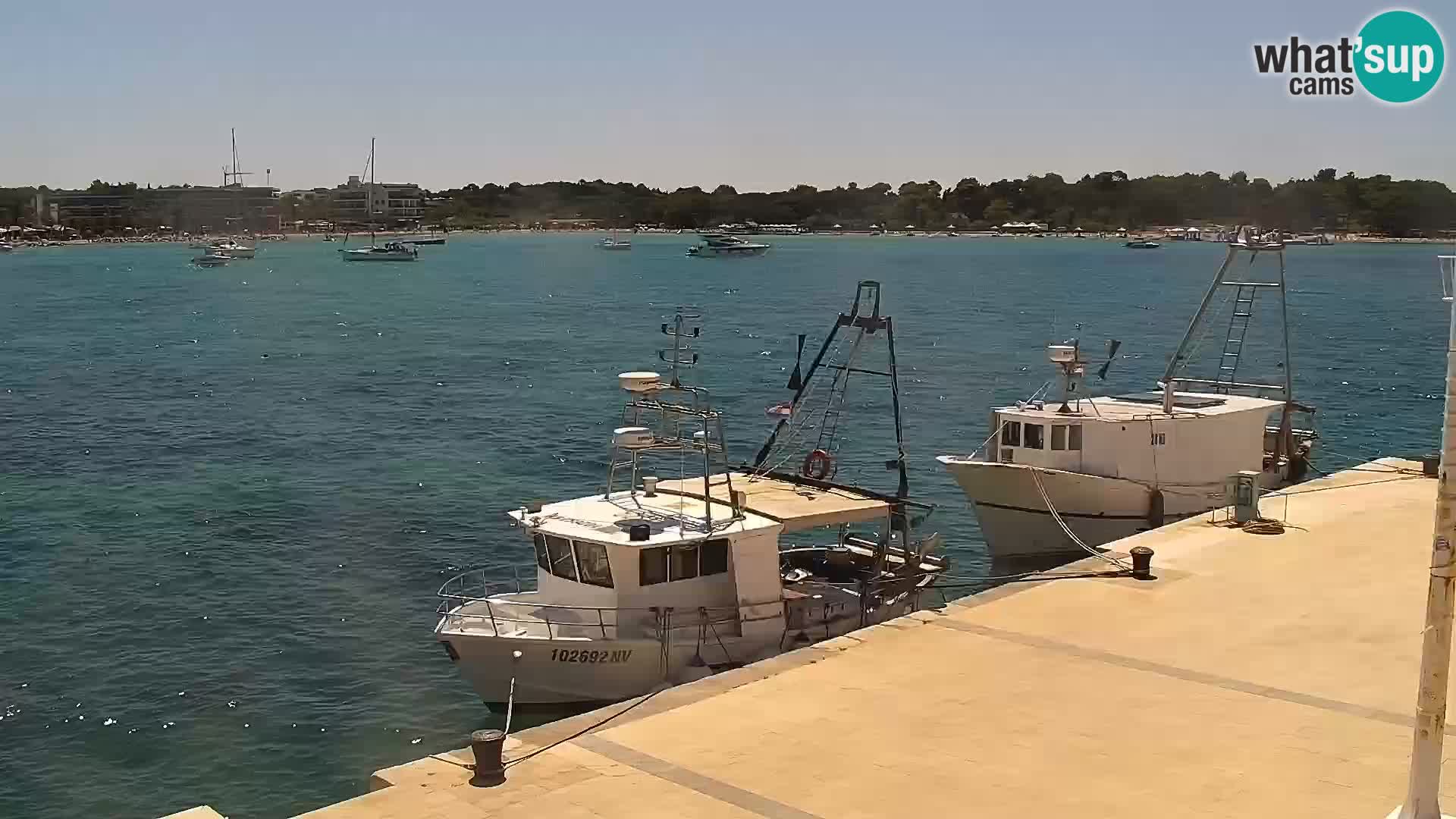 Novalja Livecam promenade