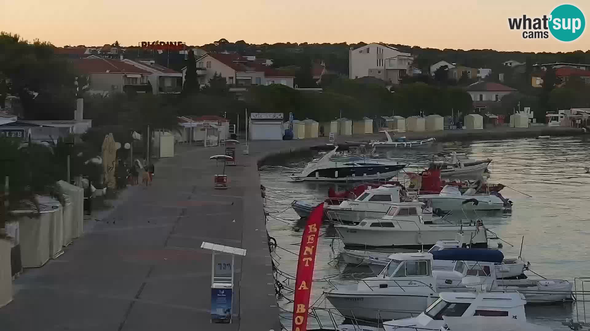 Promenade en Novalia Camera en vivo