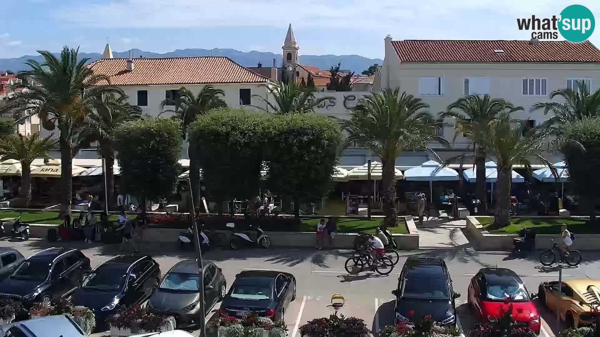 Promenade en Novalia Camera en vivo
