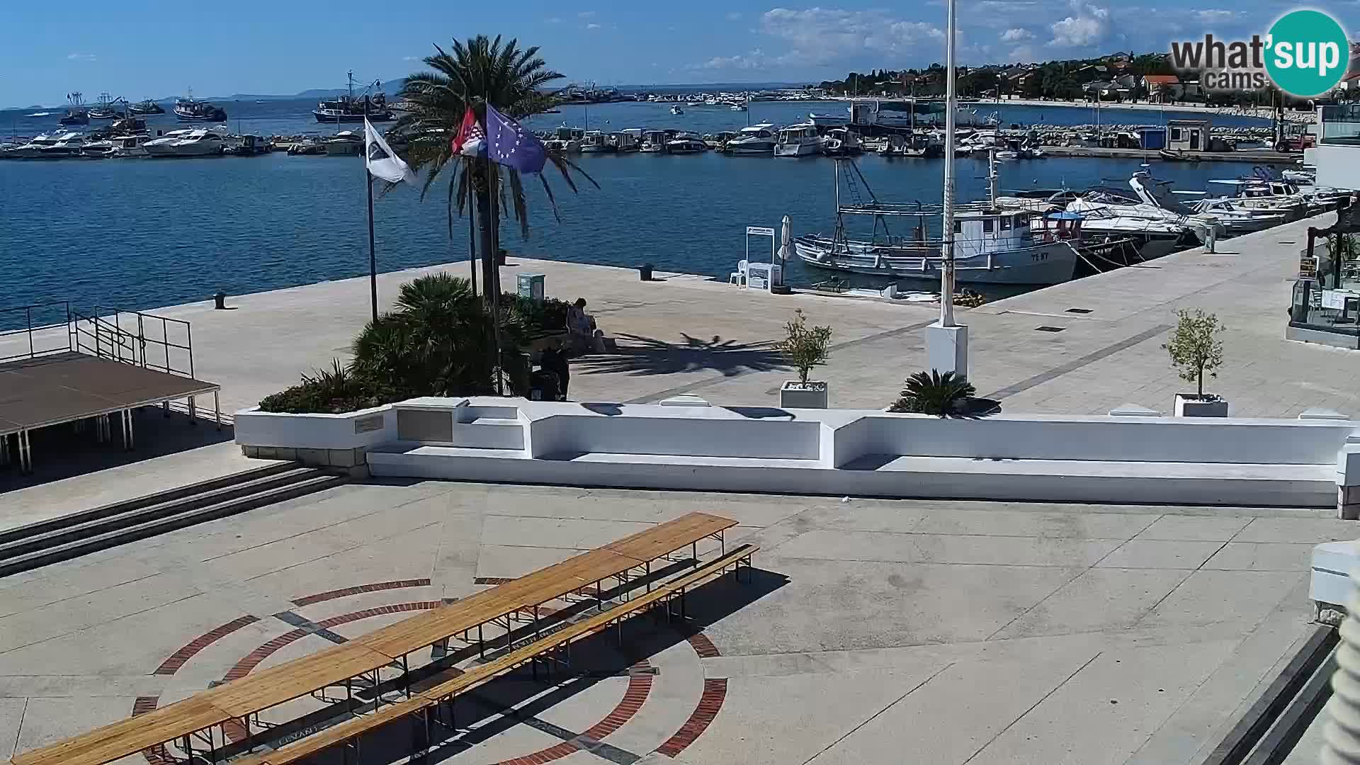 Promenade en Novalia Camera en vivo