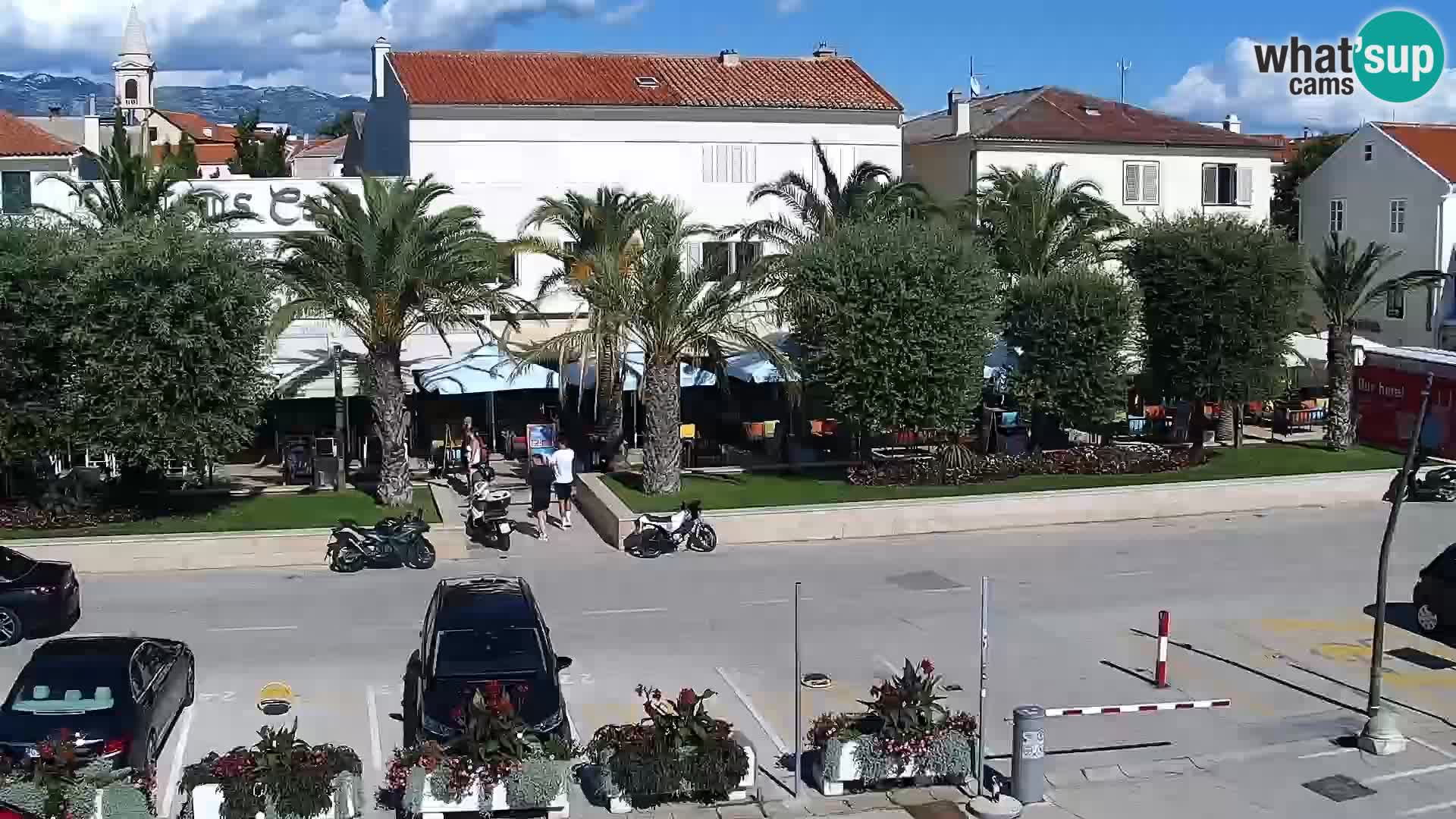 Promenade en Novalia Camera en vivo