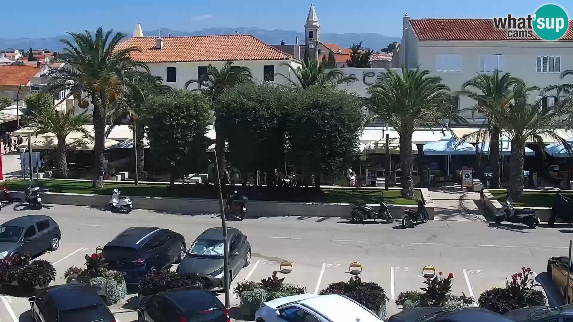Promenade en Novalia Camera en vivo