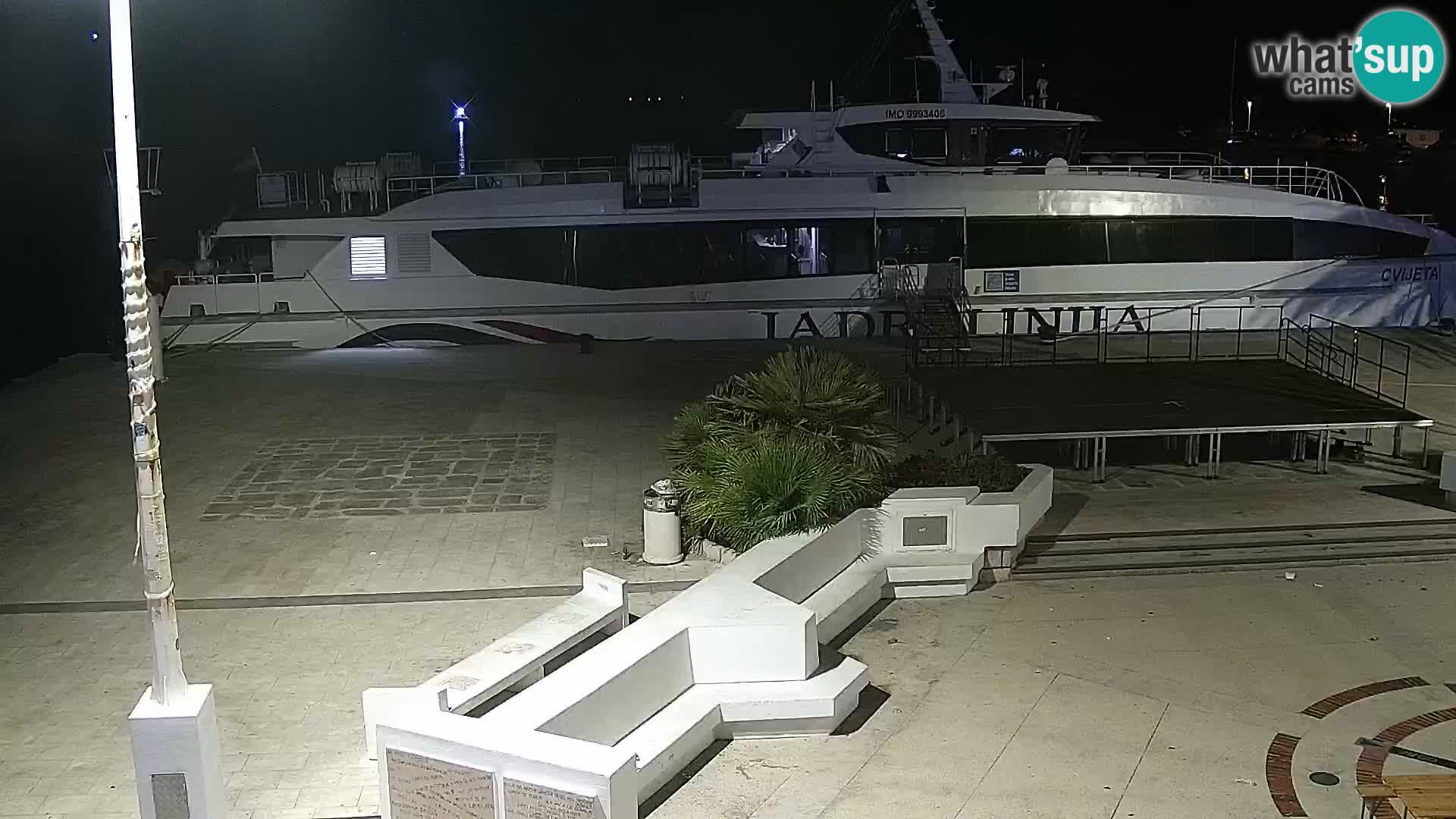 Promenade en Novalia Camera en vivo