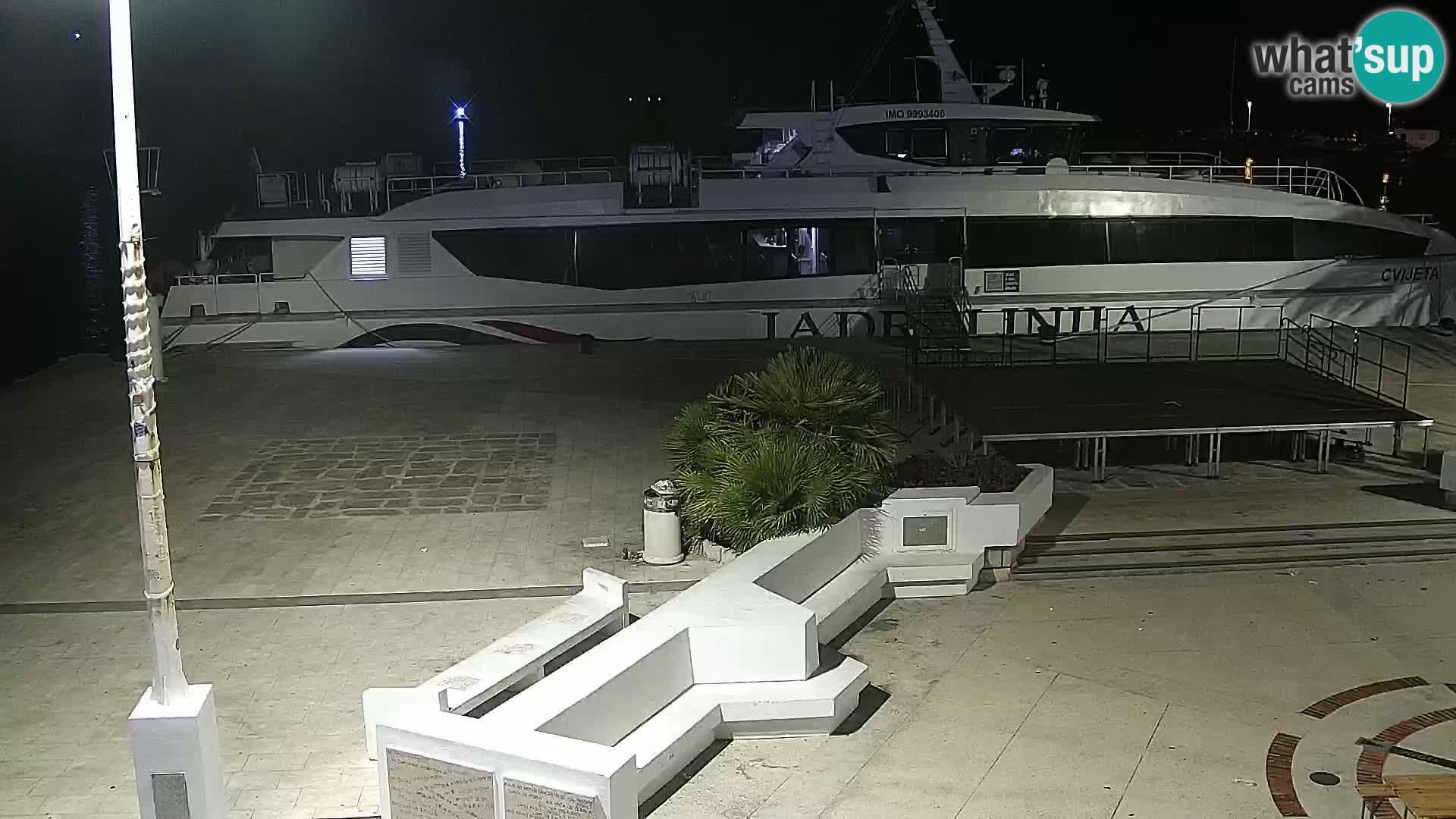 Promenade en Novalia Camera en vivo