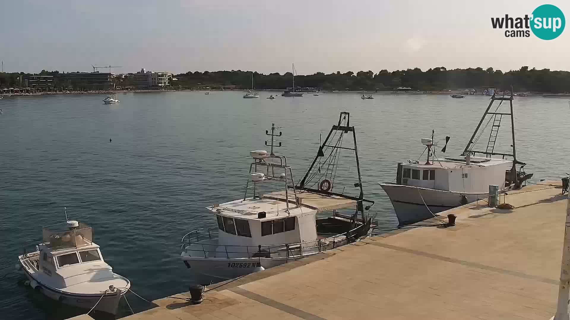 Novalja Livecam promenade