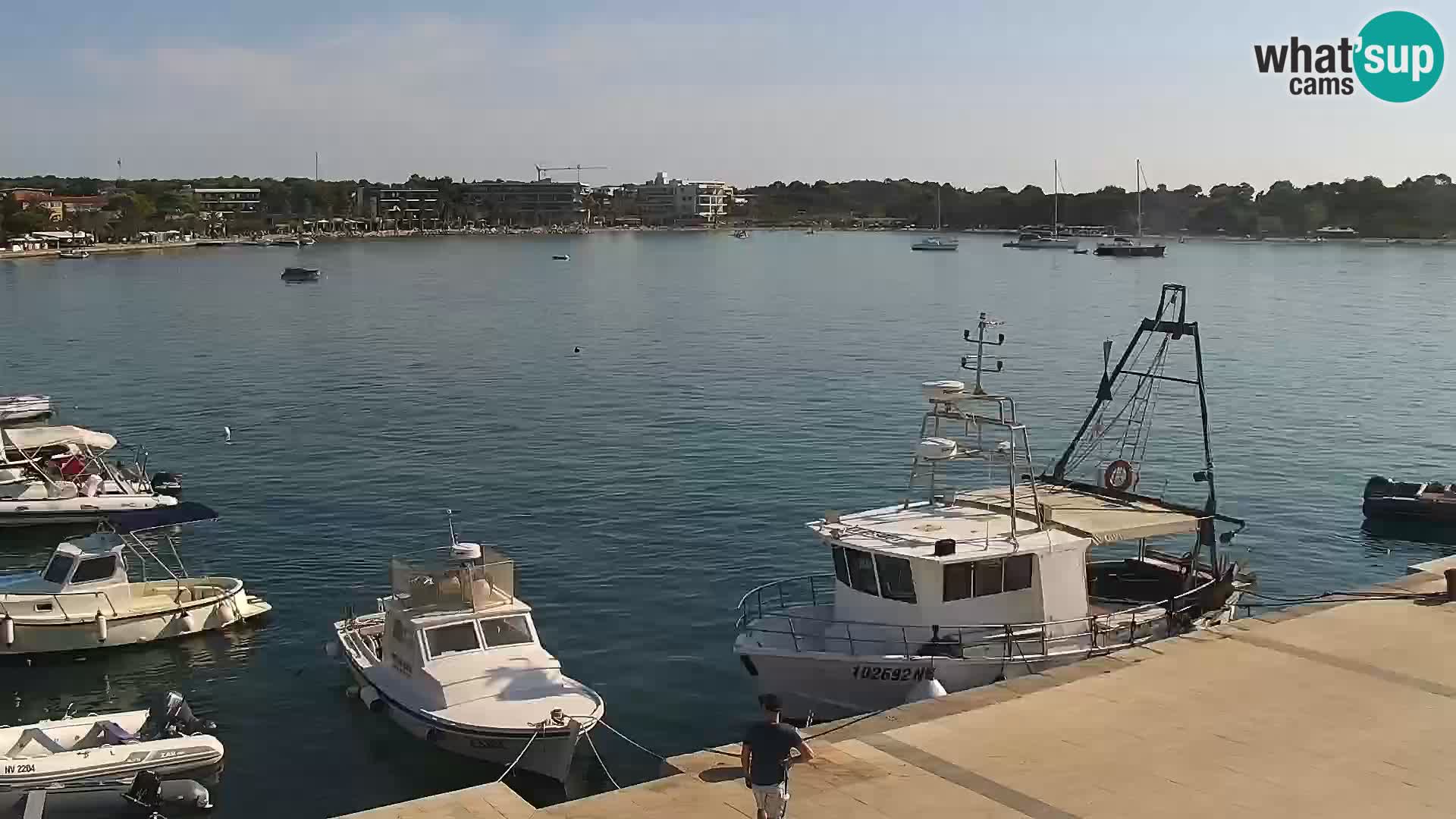 Novalja Livecam promenade