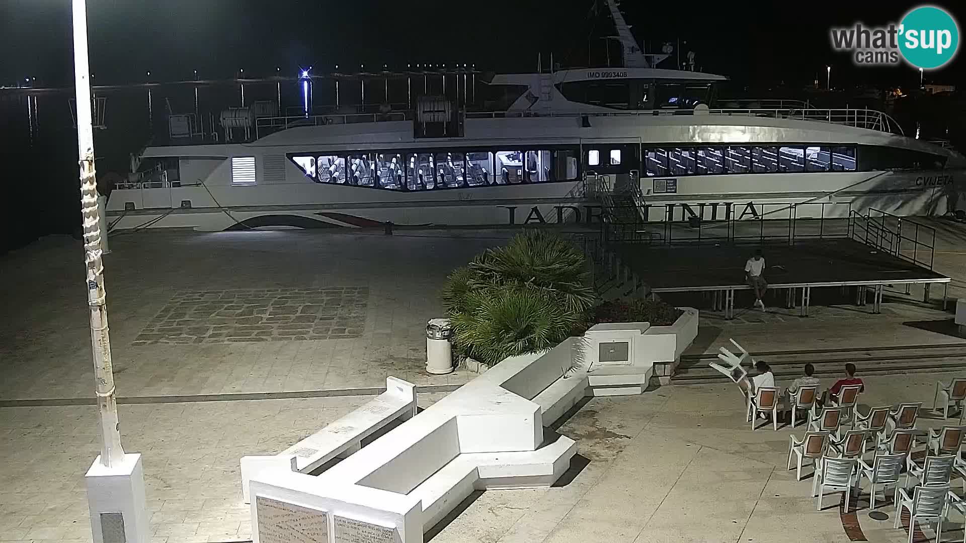 Promenade en Novalia Camera en vivo