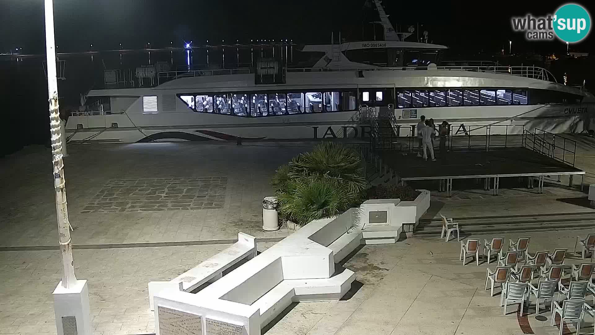 Promenade en Novalia Camera en vivo