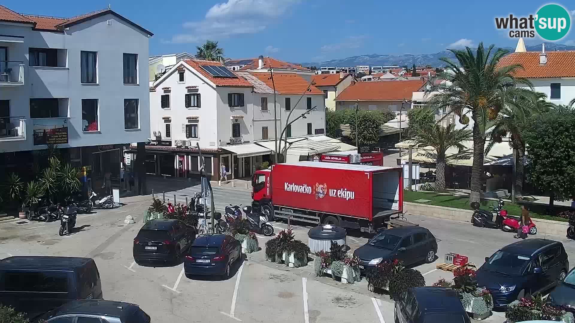 Promenade en Novalia Camera en vivo