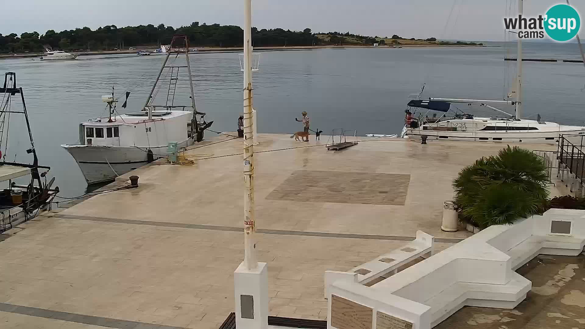 Webcam Novalja seaside promenade