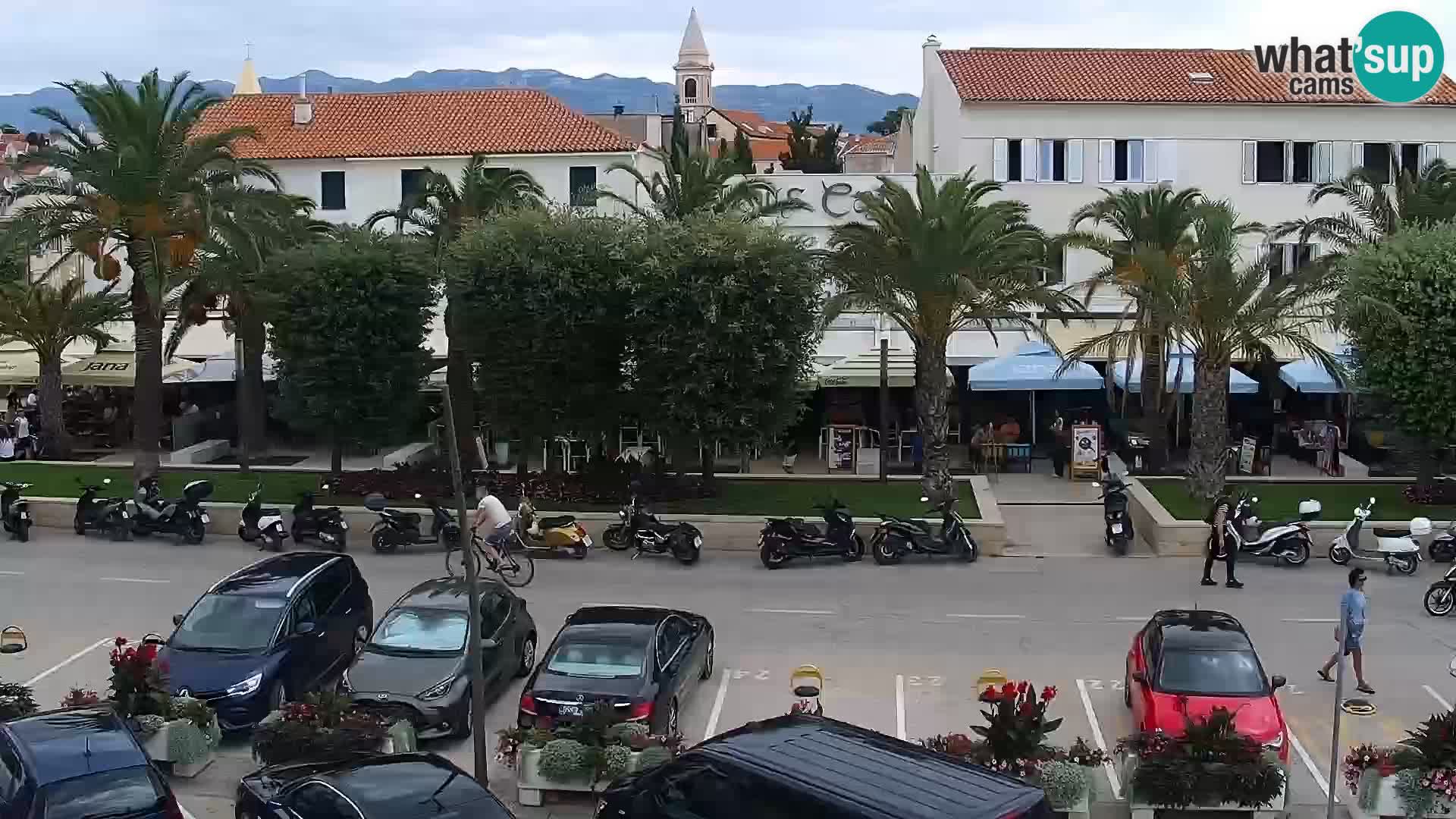 Promenade en Novalia Camera en vivo