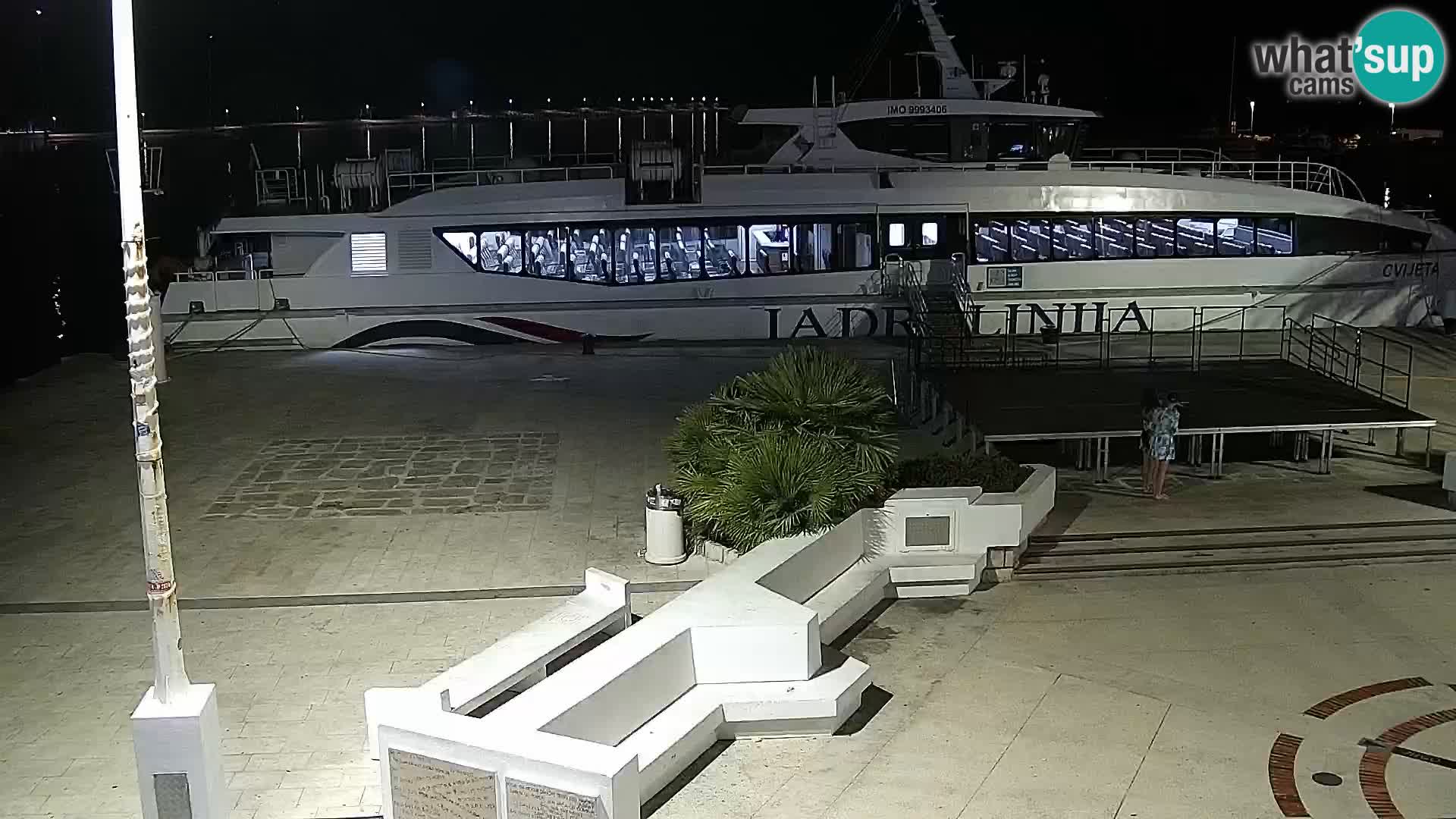 Promenade en Novalia Camera en vivo